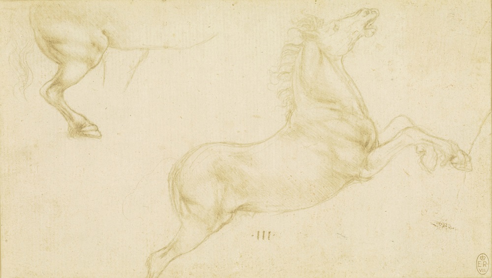Leonardo da Vinci, Studies of Horses, c.1480-81  Credit: Royal Collection Trust/(c) Her Majesty Queen Elizabeth II 2019 