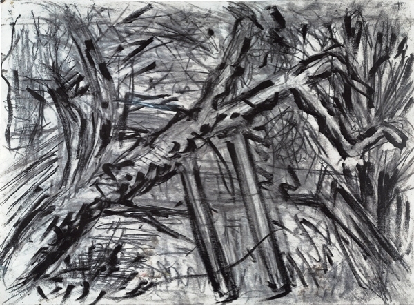 Kossoff_Cherry_Tree_drawing