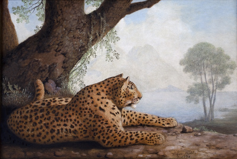 George Stubbs,  'Reclining Leopard', 1778, Enamel on ceramic © Private Collection   