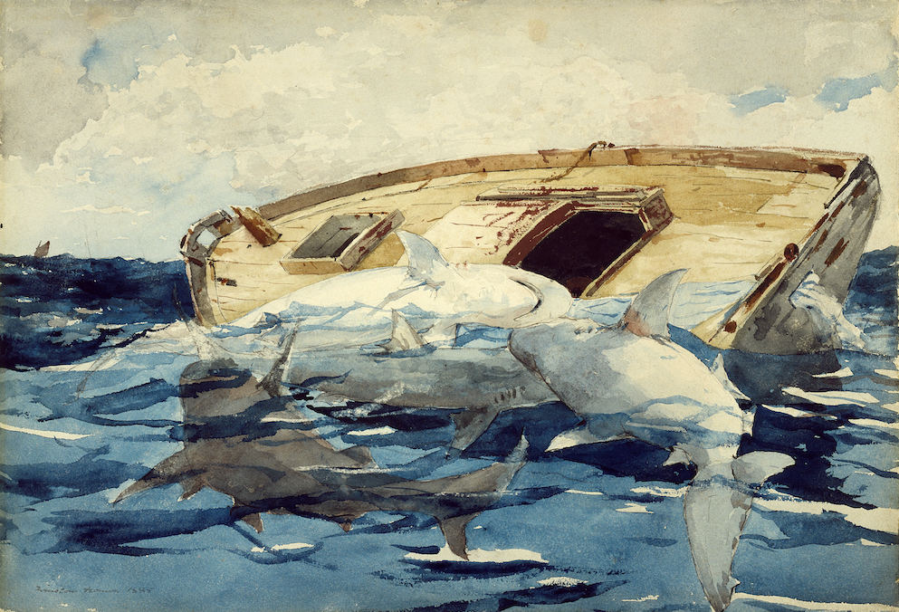  Winslow Homer Sharks; also The Derelict, 1885 Watercolor over graphite on cream, moderately thick, moderately textured wove paper 36.8 x 53.2 cm © Brooklyn Museum of Art, New York Gift of the Estate of Helen Babbott Sanders 78.151.4