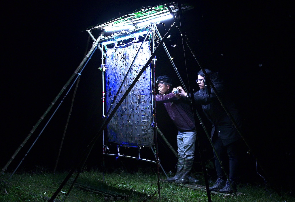 Mansi and Bicki photograph hawk moths