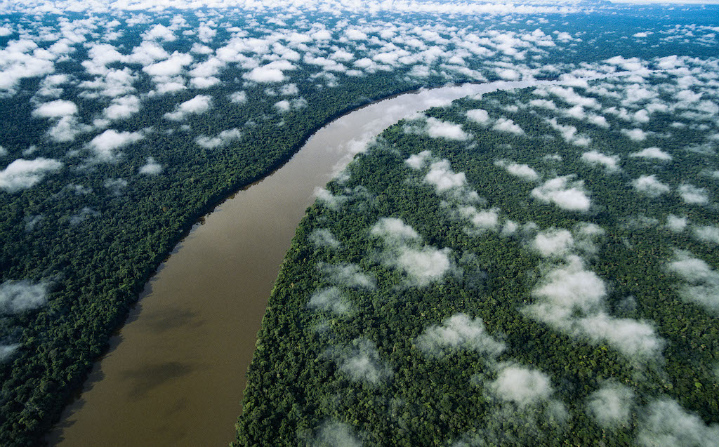 Shot filmed by Yann Arthus-Bertrand