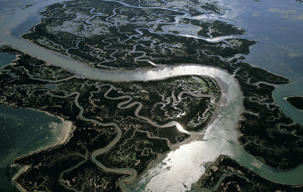 Shot filmed by Yann Arthus-Bertrand