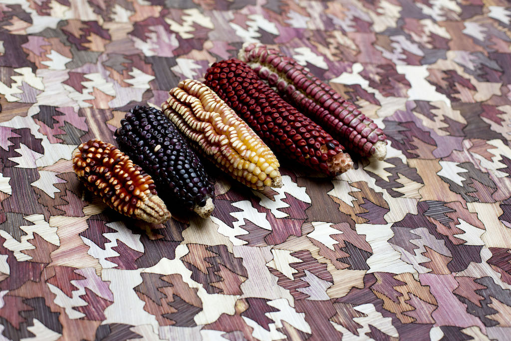 Totomoxtle by Fernando Laposse — a new veneer material made with husks of heirloom Mexican corn. The project regenerates traditional, at risk, agricultural practices and preserves biodiversity for future generations