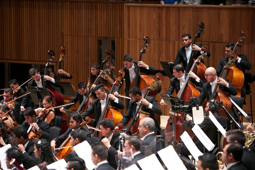 Simón Bolívar double basses