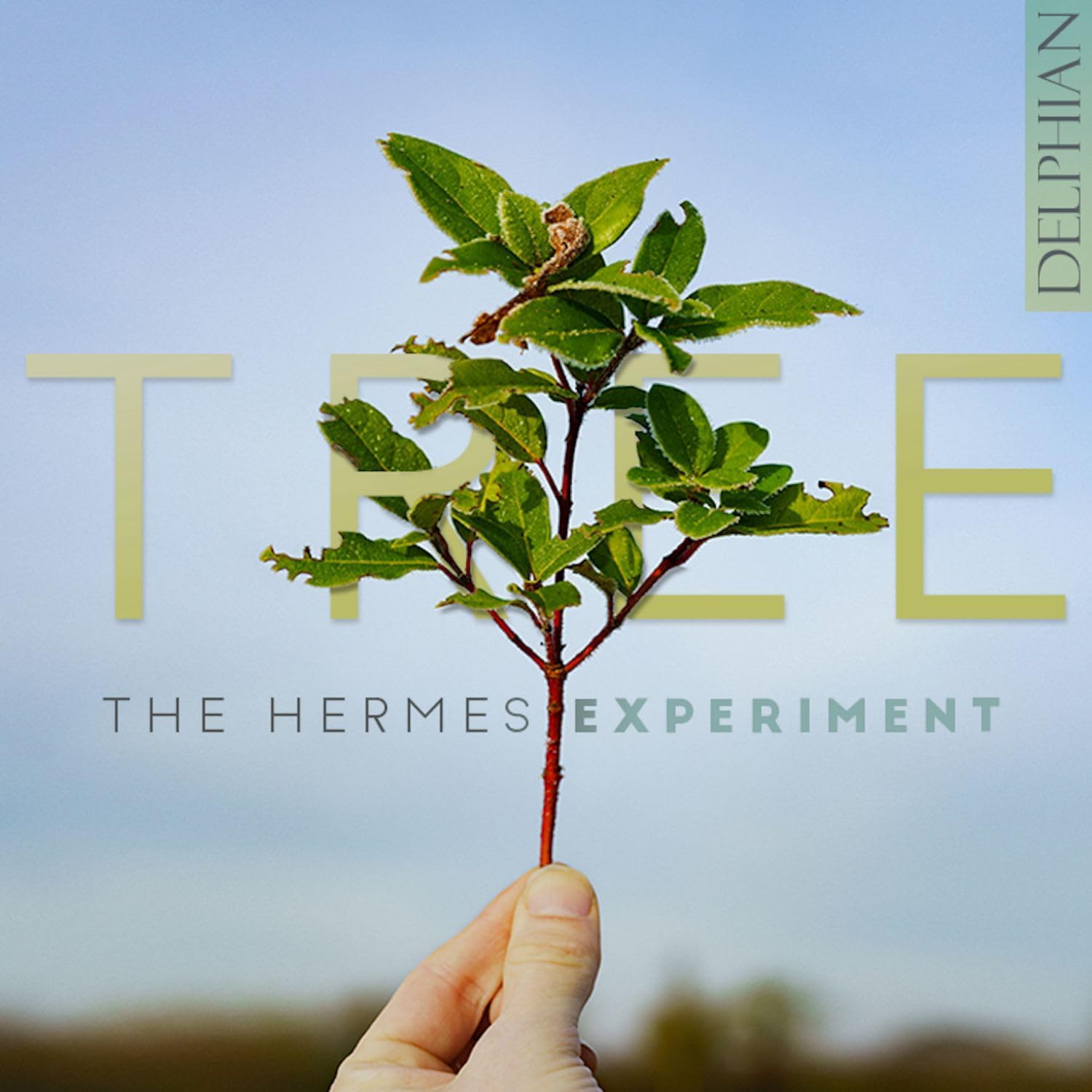 Hermes Tree