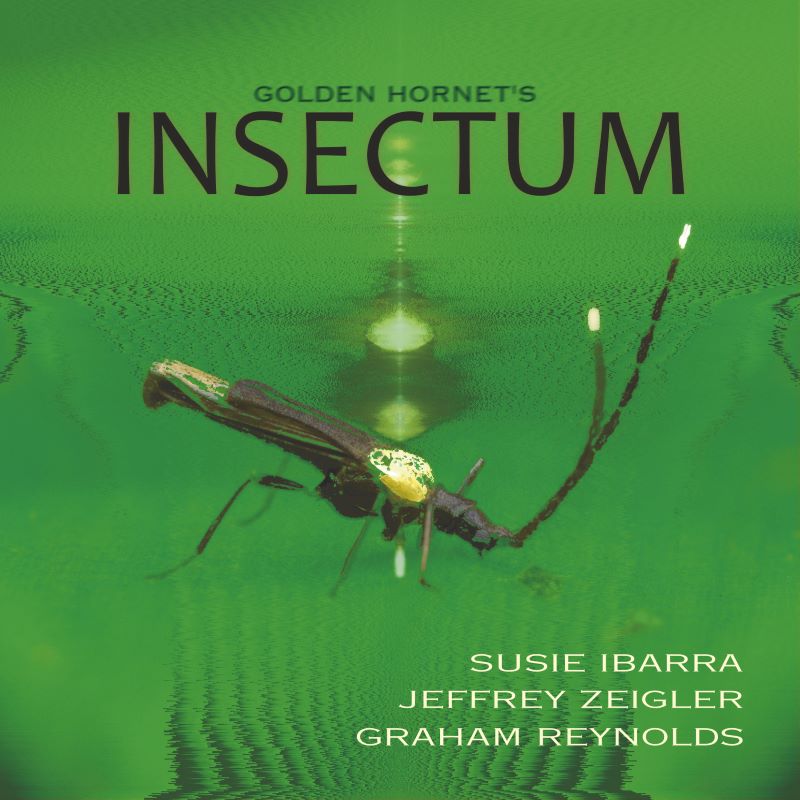 Insectum