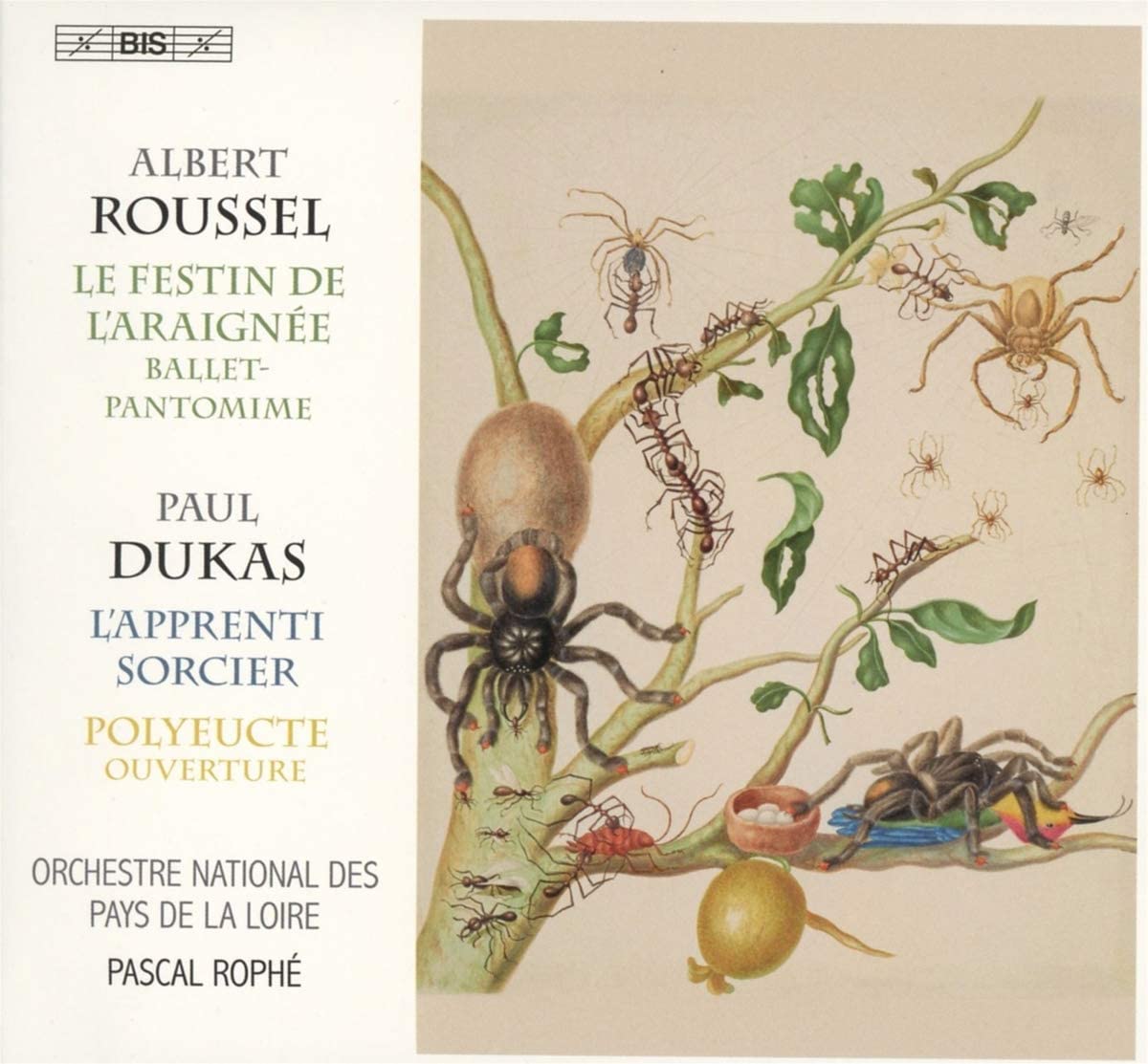 Roussel spider