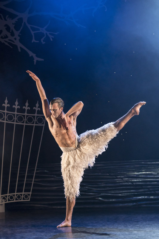 Matthew Ball as the Swan in Matthew Bourne's Swan Lake. Photo by Johan Persson.