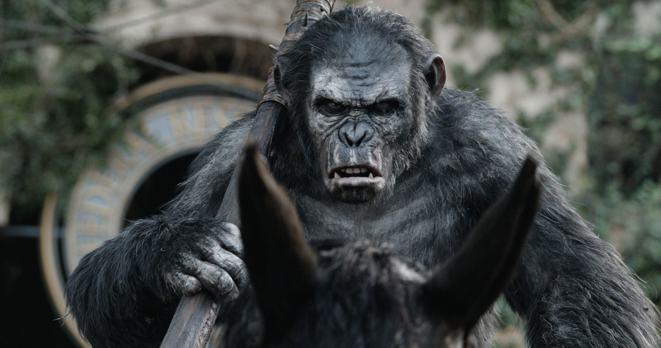 dawn of the planet of the apes toby kebbel