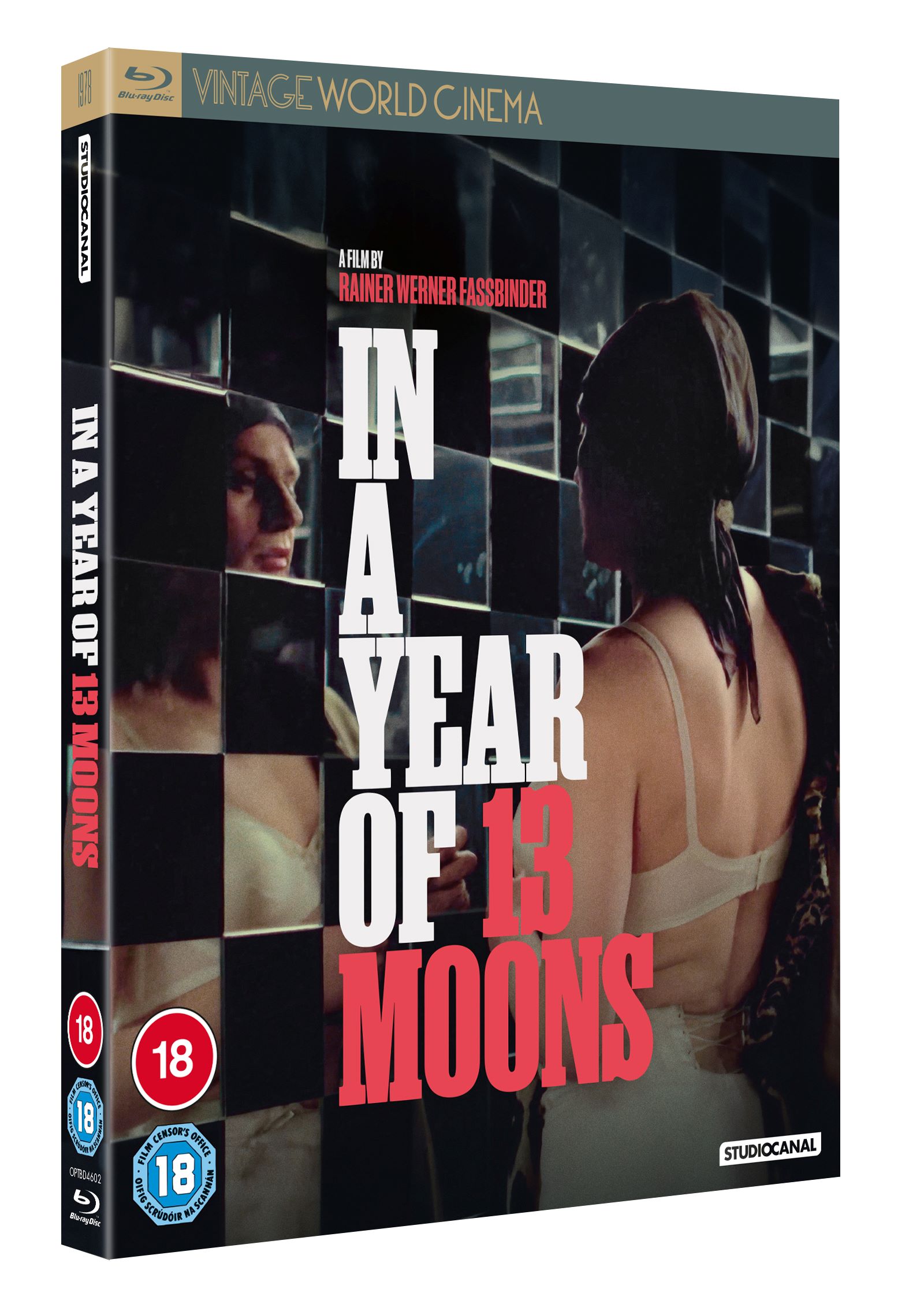 In a Year of 13 Moons cover