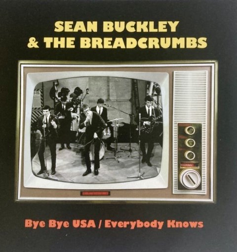 Sean Buckley & The Breadcrumbs_bye bye usa