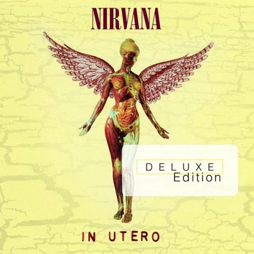 nirvana in utero deluxe