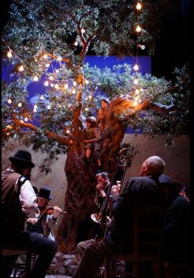 Band and olive tree in the National's Liola photographed by Catherine Ashmore