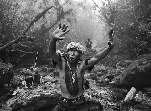 Yanomami Shaman, 2014