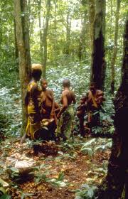 aka_pygmies_in_the_forest