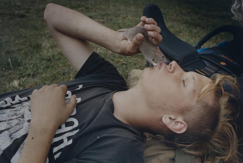 'Xavier', from Niall O'Brien's 'Good Rats' exhibition