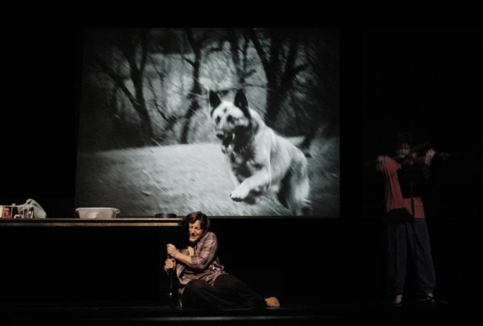 Dog eat dog: 'David Michalek's images dominate the projected backdrop'