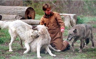 The wolfchick in action: 'I have no problem with classical music disappearing if it's too safe'