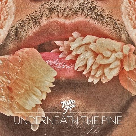 The not-so-lovely cover of Toro Y Moi's 'Underneath the Pine'