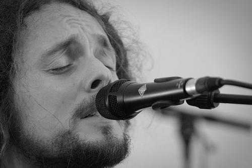 Dan Arborise: 'An organic kind of guy, in quiet thrall to nature.' 