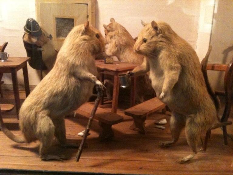 'Squirrels who smoke cigars, squabble and get up to mischief are among the many, some might say macabre, delights of Walter Potter’s world'