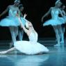 Uliana Lopatkina in the Mariinsky's 'Swan Lake'